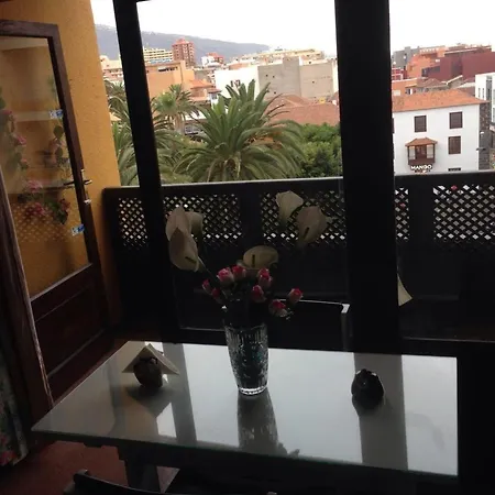 Fuer 3 Personen Ca 40 Qm In Puerto De La Cruz, Teneriffa Nordkueste Von Teneriffa Διαμέρισμα