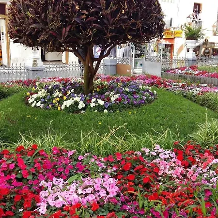 Fuer 3 Personen Ca 40 Qm In Puerto De La Cruz, Teneriffa Nordkueste Von Teneriffa *