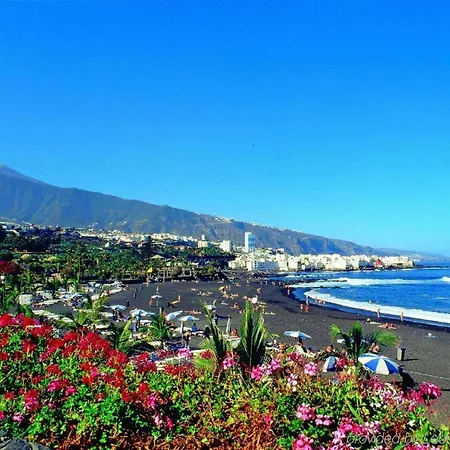 Fuer 3 Personen Ca 40 Qm In Puerto De La Cruz, Teneriffa Nordkueste Von Teneriffa